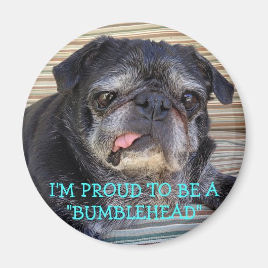 Bumblesnot magnet:バ誇りを持ったンブルヘッド マグネット (正面)