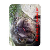 Bumblesnot magnet：幸福は救出されたペットである！ マグネット (縦)