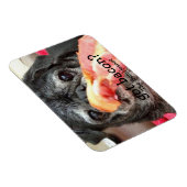 Bumblesnot Magnet:得ベーコン？ マグネット (右側)