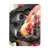 Bumblesnot Magnet:得ベーコン？ マグネット (縦)