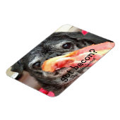 Bumblesnot Magnet:得ベーコン？ マグネット (左側)