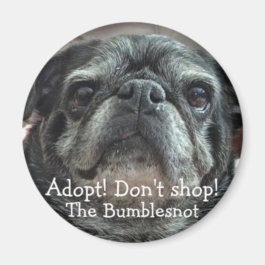 Bumblesnot magnet：採用！買い物するな！ マグネット (正面)