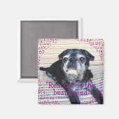 Bumblesnot magnet:「救助」は最高の種! マグネット (正面/裏面)