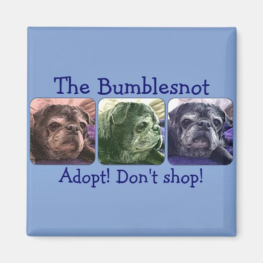 Bumblesnot magnet：色を付ブンブンいう音ける マグネット (正面)