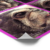 Bumblesnot Poster: ブンブンいう音 Shades of  ポスター (角)