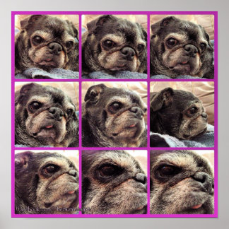 Bumblesnot Poster: ブンブンいう音 Shades of  ポスター