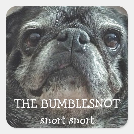 Bumblesnot "snort snort"スタンプ スクエアシール (正面)
