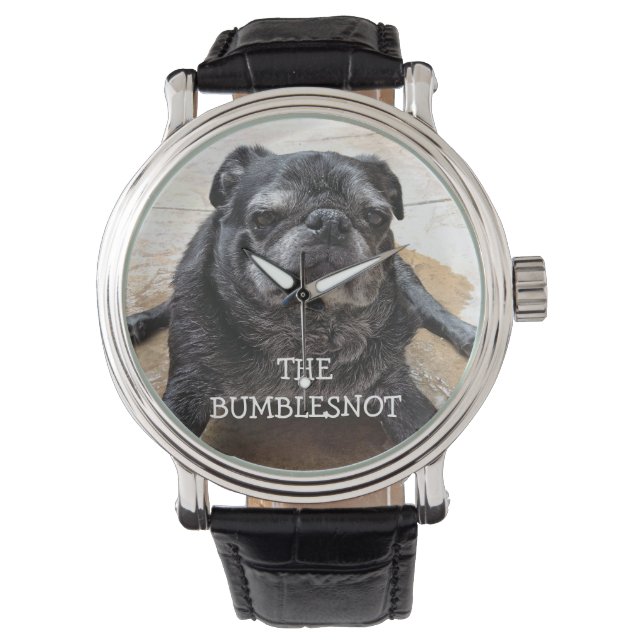 Bumblesnot Watch:「私を見てるのか？」 腕時計 (正面)