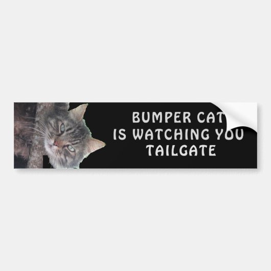 Bumper Catがテールゲート45を見張っている バンパーステッカー (正面)