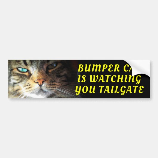 Bumper Catが監視中 TAILGATE Oleoフォント バンパーステッカー (正面)