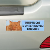 Bumper CatがTAILGATE 14を見ている バンパーステッカー (車上)