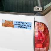 Bumper CatがTAILGATE 14を見ている バンパーステッカー (トラック上)