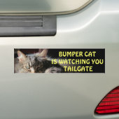 Bumper CatがTAILGATE 15を見張っているよ バンパーステッカー (車上)