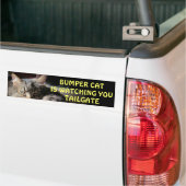 Bumper CatがTAILGATE 15を見張っているよ バンパーステッカー (トラック上)