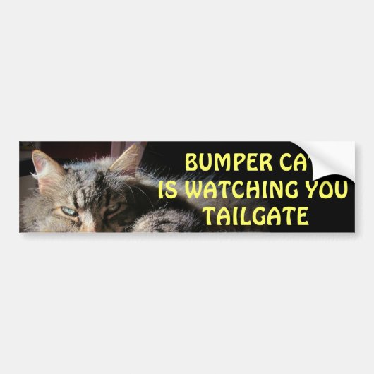 Bumper CatがTAILGATE 15を見張っているよ バンパーステッカー (正面)