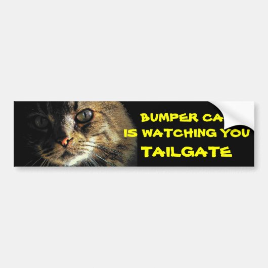 Bumper CatがTAILGATE 23を見張っている バンパーステッカー (正面)