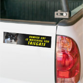 Bumper Cat is watching TAILGATE 46 バンパーステッカー (トラック上)