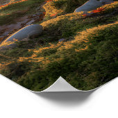 Bumpy Path ポスター (角)