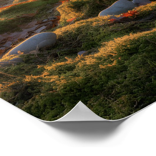 Bumpy Path ポスター (角)