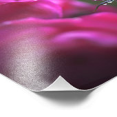 Bunch of Pink Roses (Landscape) フォトプリント (角)