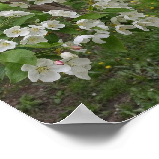 Bunches of Blossoms Poster ポスター (角)