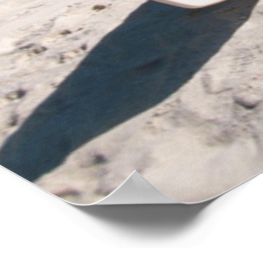 Bungalows from beach Motu Toopua ポスター (角)