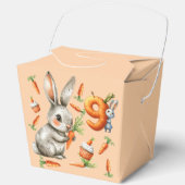 Bunnies and Carrots 9th Birthday Partyお願いボックス フェイバーボックス (正面)