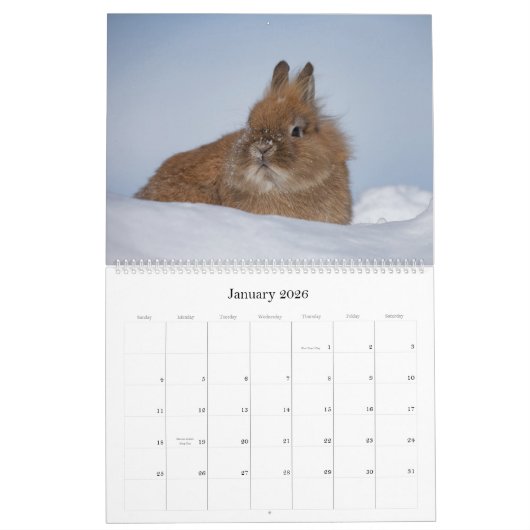 Bunnies Large Wall Calendar カレンダー (1月 2026)