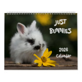 Bunnies Large Wall Calendar カレンダー (カバー)