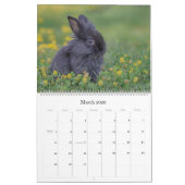 Bunnies Large Wall Calendar カレンダー (3月 2026)