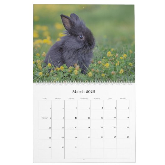 Bunnies Large Wall Calendar カレンダー (3月 2026)