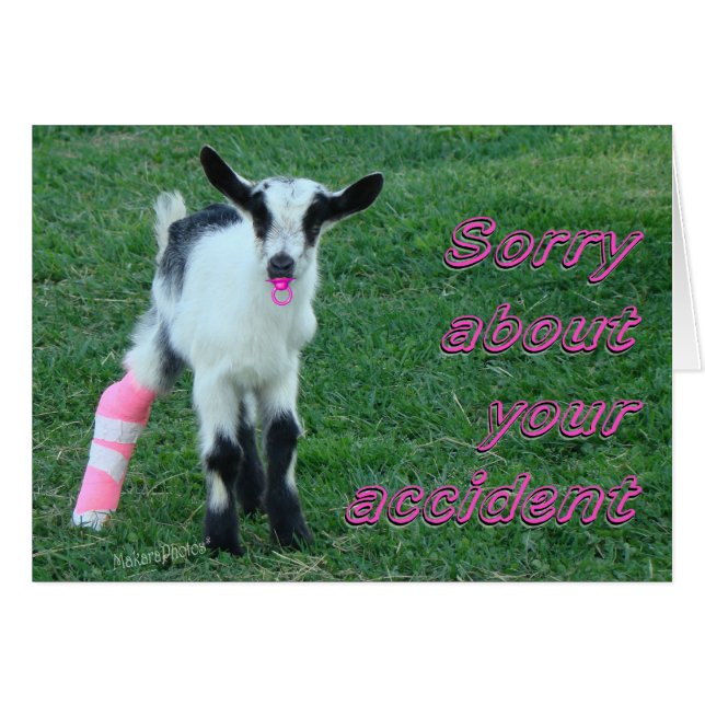 Bunny1375カスタマイズ (正面横)