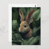 Bunny and plant postcard ポストカード (正面/裏面)