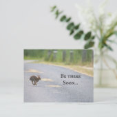 Bunny Photo Postcard シーズンポストカード (スタンド正面)