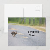Bunny Photo Postcard シーズンポストカード (正面/裏面)