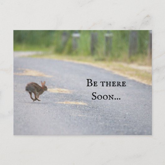 Bunny Photo Postcard シーズンポストカード (正面)