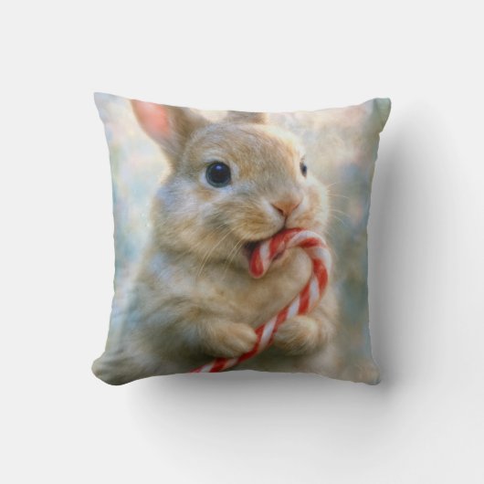 Bunny Rabbit Nibbling On a Candy Cane クッション (正面)