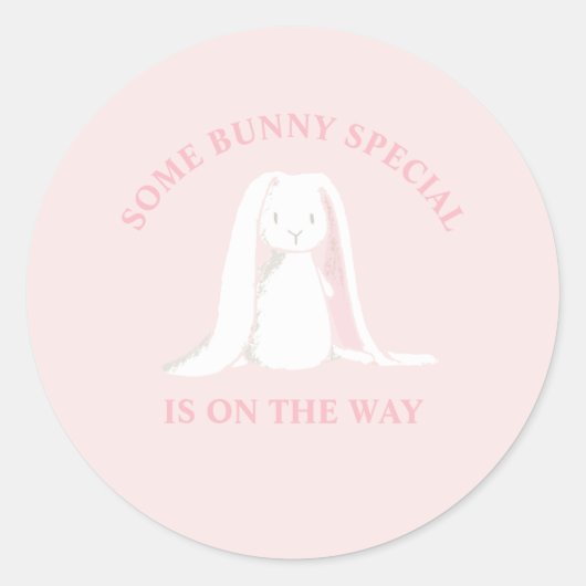 Bunny SpecialがBaby Showerの途中にある ラウンドシール (正面)
