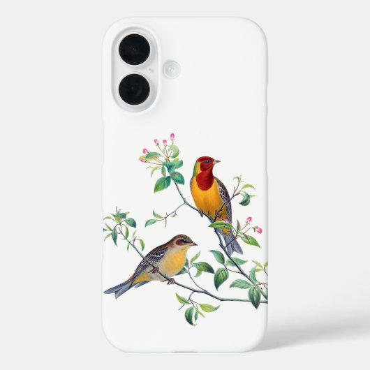 Bunting Birds on Branches Case-Mate iPhoneケース (裏面)