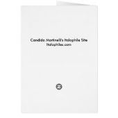 Buonのnatale - Zabaioneのレシピ (裏面)