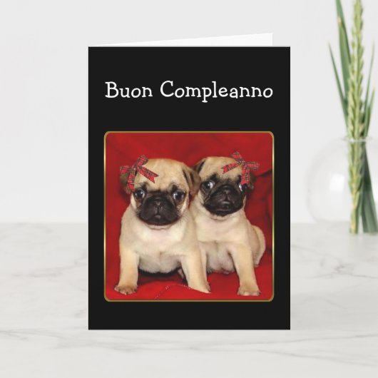 Buon compleanno誕生日PUGSグリーティングカード カード (正面)
