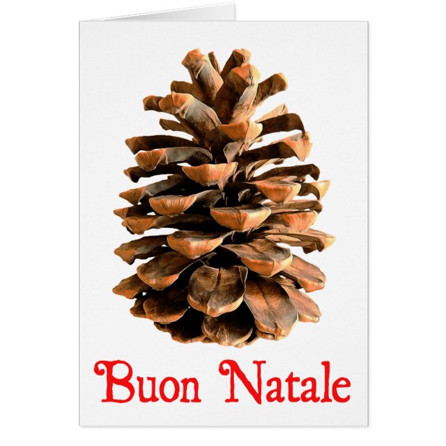 Buon Natale – エルサレム松コーン (正面)