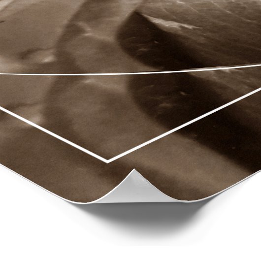 Buquê de folhas ポスター (角)