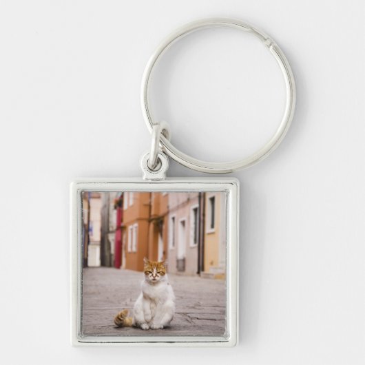 Burano、イタリアの通りの猫。 2006. キーホルダー (正面)