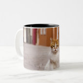 Burano、イタリアの通りの猫。  2006. ツートーンマグカップ (正面左)