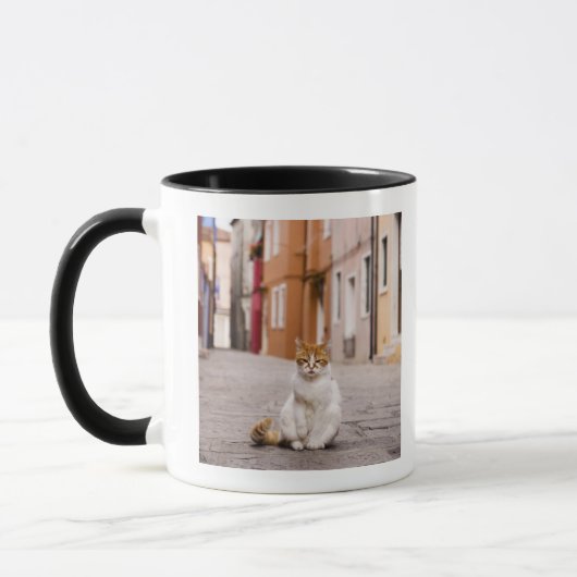 Burano、イタリアの通りの猫。 2006. マグカップ (左)