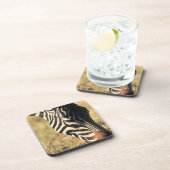 Burchellのシマウマ コースター (右側)