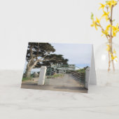 Burghの島、デボン カード (黄色い花)