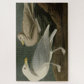 Burgomaster Gull - Audubon's Birds of Americaより ジグソーパズル (縦)