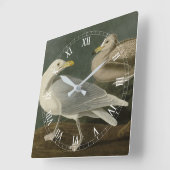 Burgomaster Gull - Audubon's Birds of Americaより スクエア壁時計 (傾斜)
